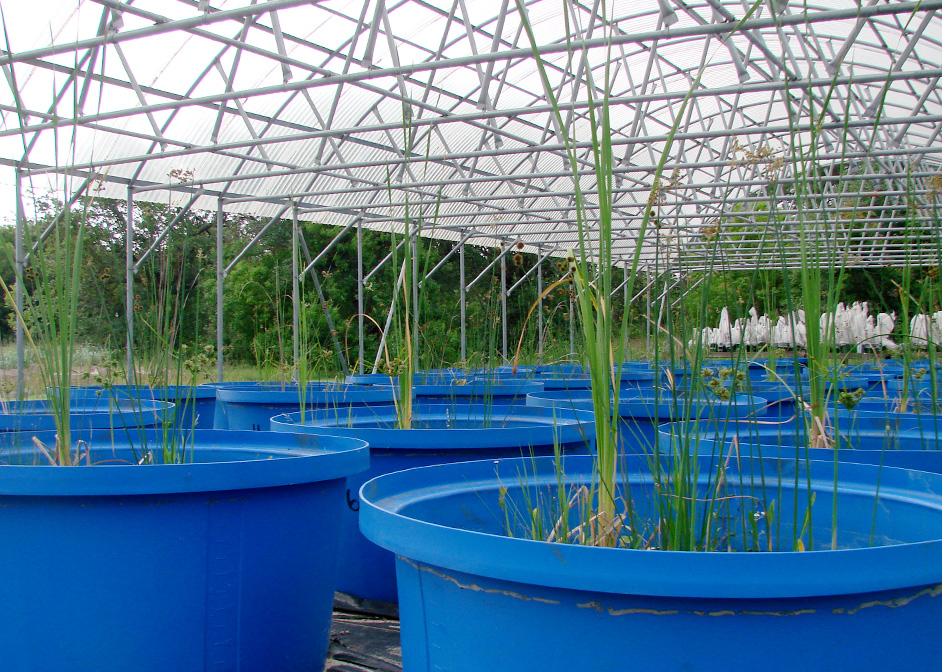 Pole Barn Greenhouse